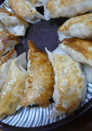 鶏とれんこんのヘルシー＆こってり餃子-レシピのメイン写真