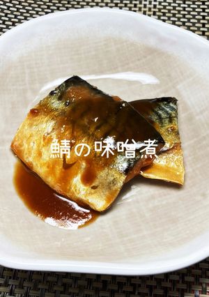 鯖の味噌煮-レシピのメイン写真