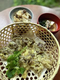 原木舞茸の天ぷら-レシピのメイン写真