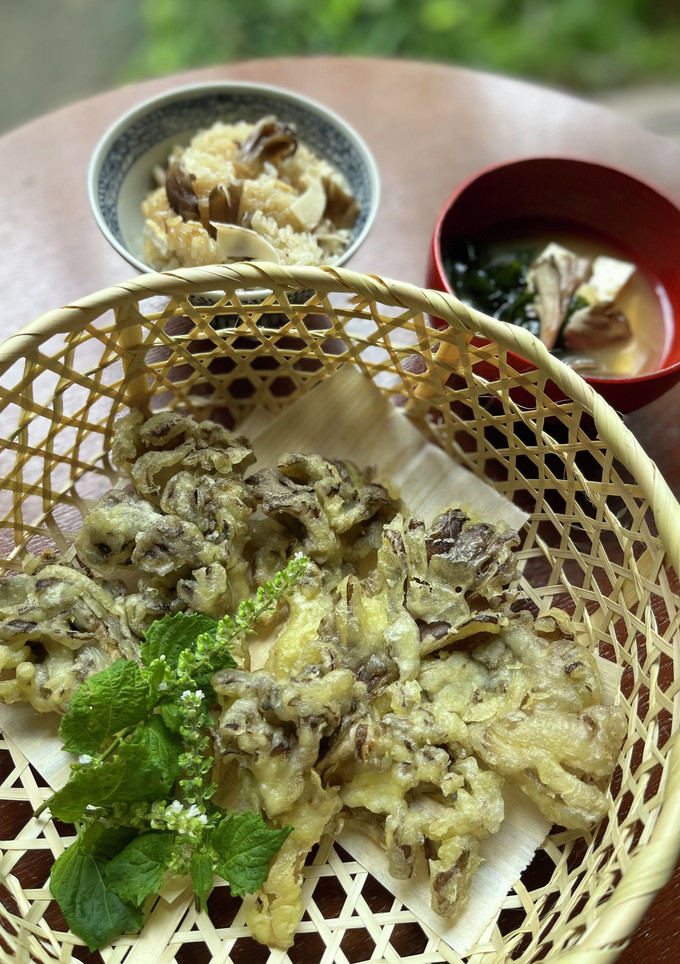 原木舞茸の天ぷら-レシピのメイン写真