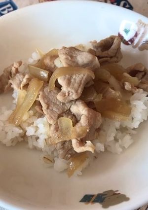 豚丼-レシピのメイン写真