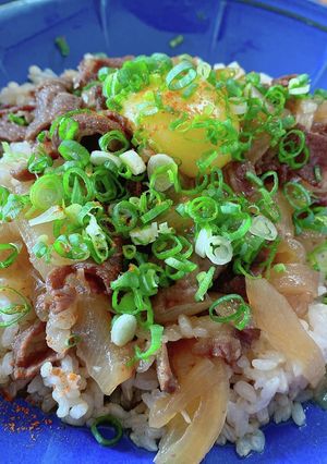 お昼に牛丼！夜はハヤシライス♬-レシピのメイン写真