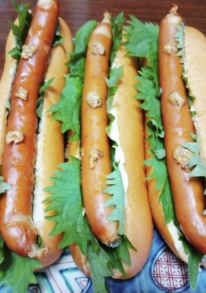 梅マヨホットドッグ-レシピのメイン写真