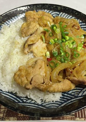 生姜焼きドライカレー-レシピのメイン写真