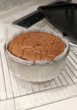 チョコレートスポンジケーキ（共立て）-レシピのメイン写真