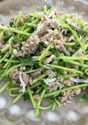 「減らソルト」豆苗とひき肉のスパイス炒め-レシピのメイン写真