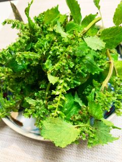 穂紫蘇・紫蘇の実の塩漬け-レシピのメイン写真