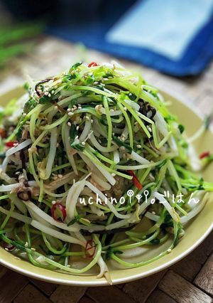 豆苗ともやしとツナの塩昆布ペペロンチーノ-レシピのメイン写真