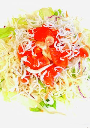 釜揚げシラスとミニトマトのマリネサラダ-レシピのメイン写真