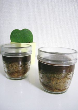 ♡ホットケーキミックス♥コーヒーケーキ♡-レシピのメイン写真