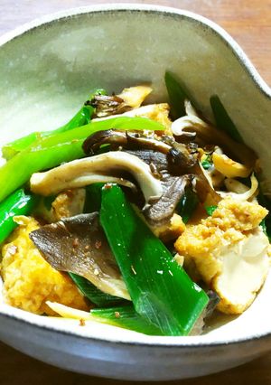 厚揚げ、干し舞茸、九条葱の煮物-レシピのメイン写真