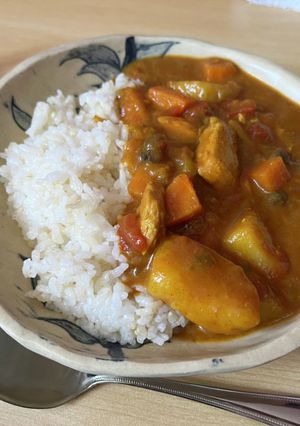 【具沢山】夏野菜のチキンカレー-レシピのメイン写真