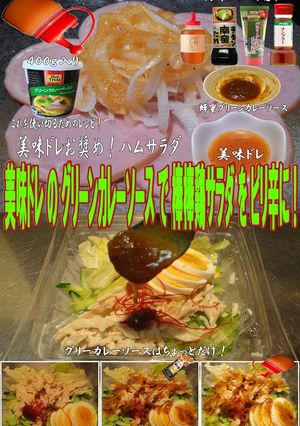 美味ドレグリーンカレーソース棒棒鶏サラダ-レシピのメイン写真