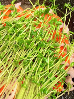 根菜のっけ蒸し鶏-レシピのメイン写真