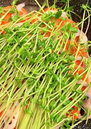 根菜のっけ蒸し鶏-レシピのメイン写真