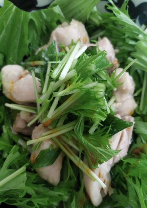 レンチン簡単!サラダ鶏の中華風-レシピのメイン写真