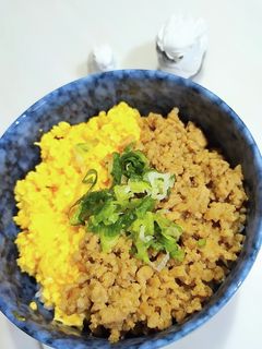 豚肉そぼろと卵そぼろの丼-レシピのメイン写真