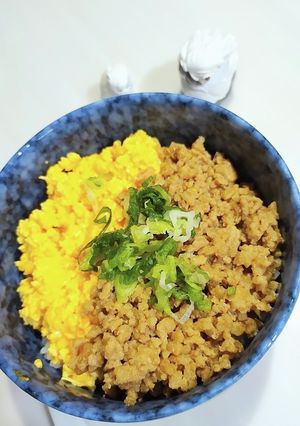 豚肉そぼろと卵そぼろの丼-レシピのメイン写真