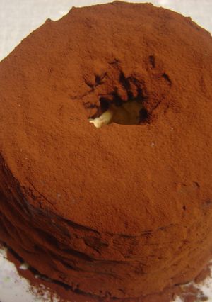 チョコシフォン-レシピのメイン写真