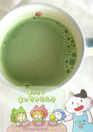ほっこり♪ほろにが抹茶ミルク-レシピのメイン写真