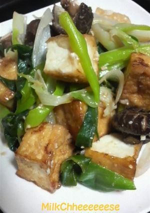 ネギがシャキシャキ！厚揚げの中華風うま煮-レシピのメイン写真