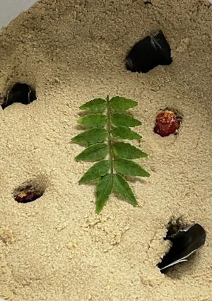 昔ながらの糠床の作り方-レシピのメイン写真