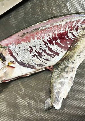 超簡単！鯵の皮の剥き方-レシピのメイン写真