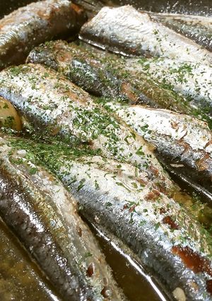 鰯のオイル煮-レシピのメイン写真