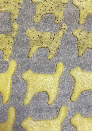 簡単クッキー-レシピのメイン写真