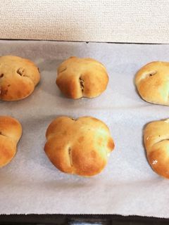 黒糖くるみパン-レシピのメイン写真