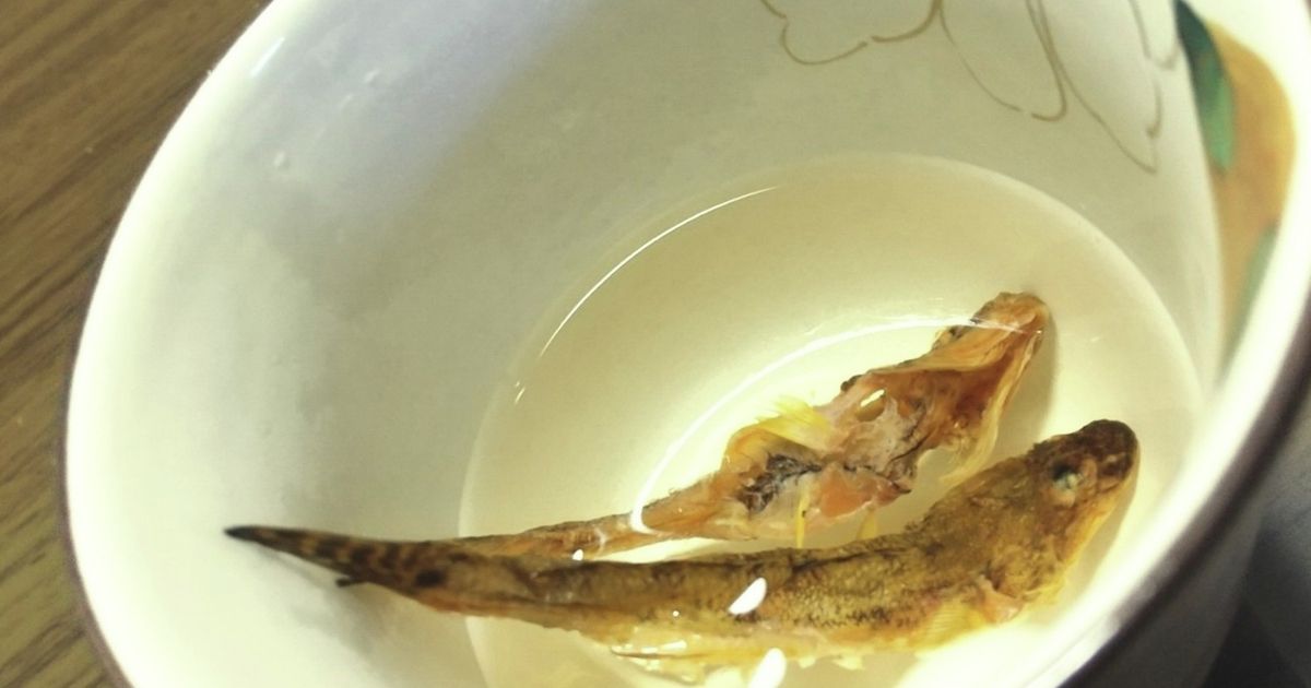 基本からアレンジまで！思わずつくりたくなる「骨酒」のレシピ集 | クックパッド