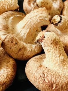 【生椎茸の軸】美味しく食べよう-レシピのメイン写真