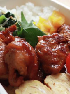 冷凍保存OK☆鶏もも肉のはちみつ生姜焼き-レシピのメイン写真