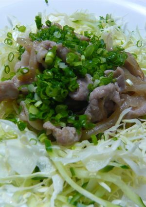 簡単！豚肉のネギ塩焼き！-レシピのメイン写真