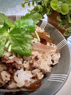 牛肉*牛蒡*生姜の混ぜご飯(改訂)-レシピのメイン写真