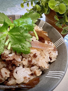 牛肉*牛蒡*生姜の混ぜご飯(改訂)-レシピのメイン写真
