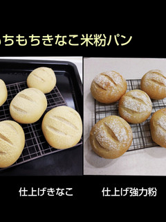 もちもちきなこ米粉パン-レシピのメイン写真