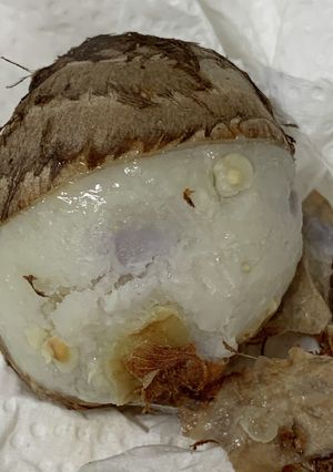 レンジで簡単！里芋の皮がツルっと剥ける-レシピのメイン写真