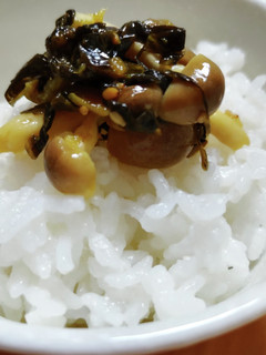 ごはんのお供に 高菜しめじ-レシピのメイン写真