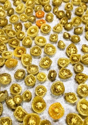 ドライ青トマト-レシピのメイン写真