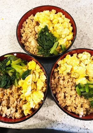 三色丼〜高野豆腐in〜-レシピのメイン写真