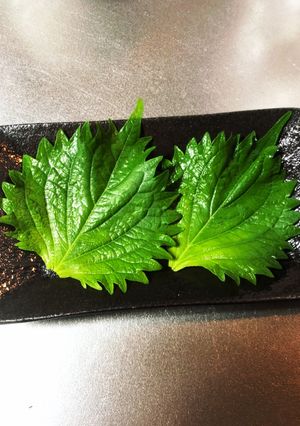 しその葉 長期保存法-レシピのメイン写真