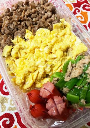 2022/10/27 そぼろ弁当-レシピのメイン写真