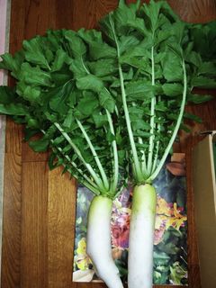 大きくなった大根の葉の茹で方-レシピのメイン写真