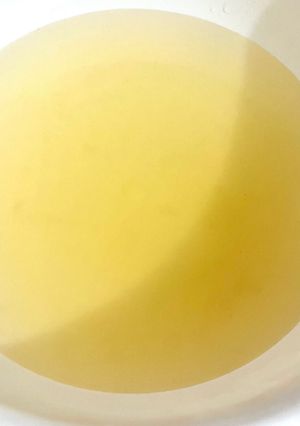 基本の野菜出汁(ブロード)-レシピのメイン写真