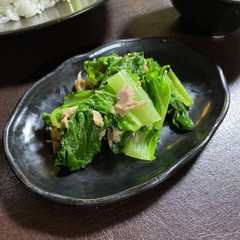 รูปของ 山東菜とツナの白だし和え