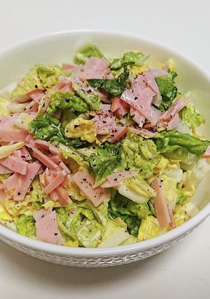 子供も大好き!白菜のサラダ-レシピのメイン写真
