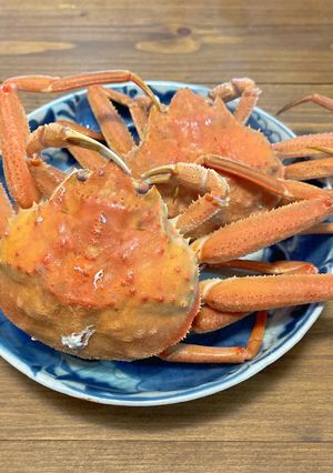 セイコガニの塩茹で-レシピのメイン写真