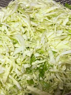 キャベツ大量消費♡千切りキャベツはコレで-レシピのメイン写真
