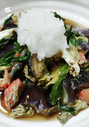 茄子と鮭のかきたまおろし-レシピのメイン写真